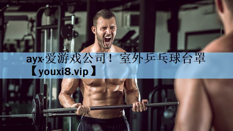 室外乒乓球台罩