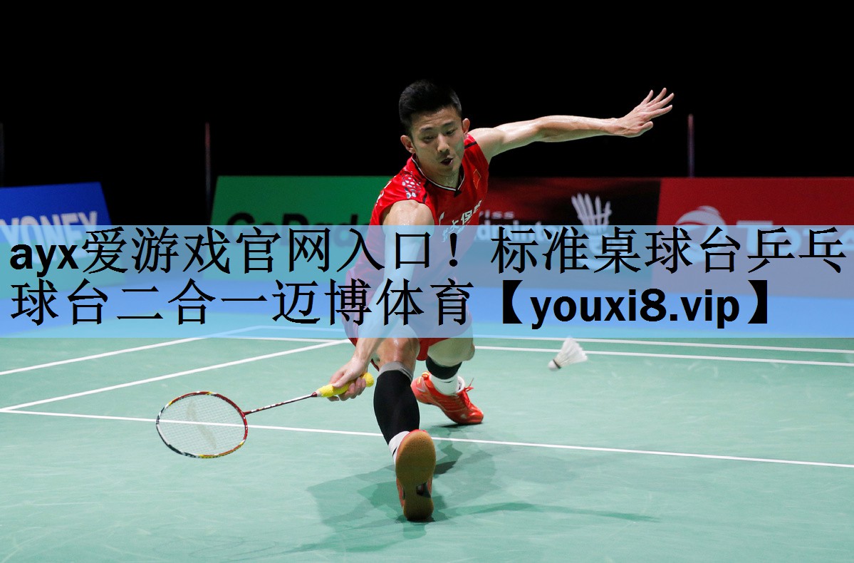 ayx爱游戏官网入口！标准桌球台乒乓球台二合一迈博体育