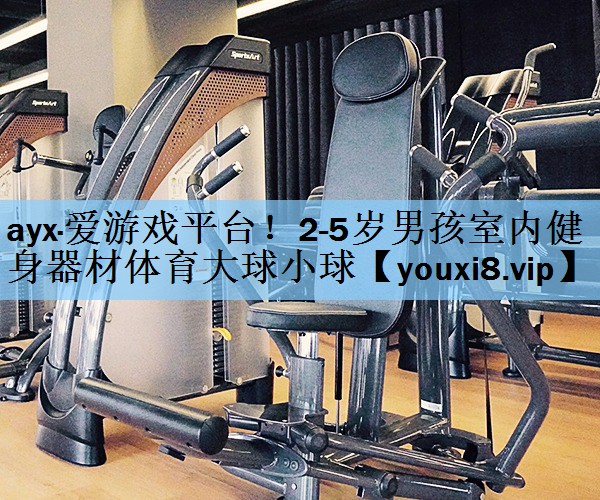 ayx·爱游戏平台！2-5岁男孩室内健身器材体育大球小球